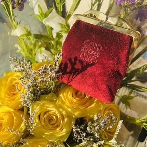 Loewe Red Suede Purse Coin Case with Golden Frame